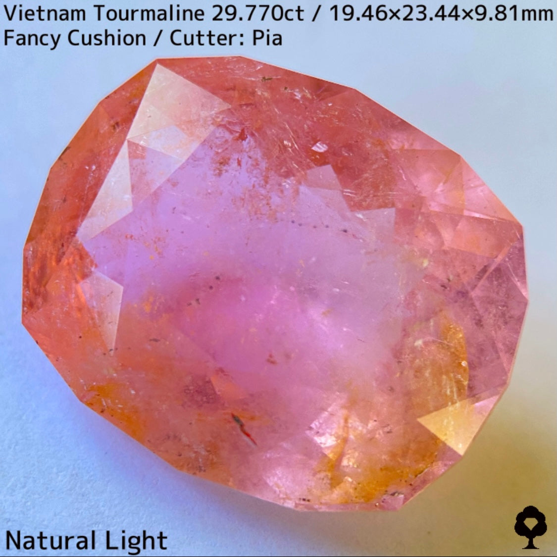 ベトナム産トルマリン29.770ct★華やかなベトナム産らしい桜満開巨石
