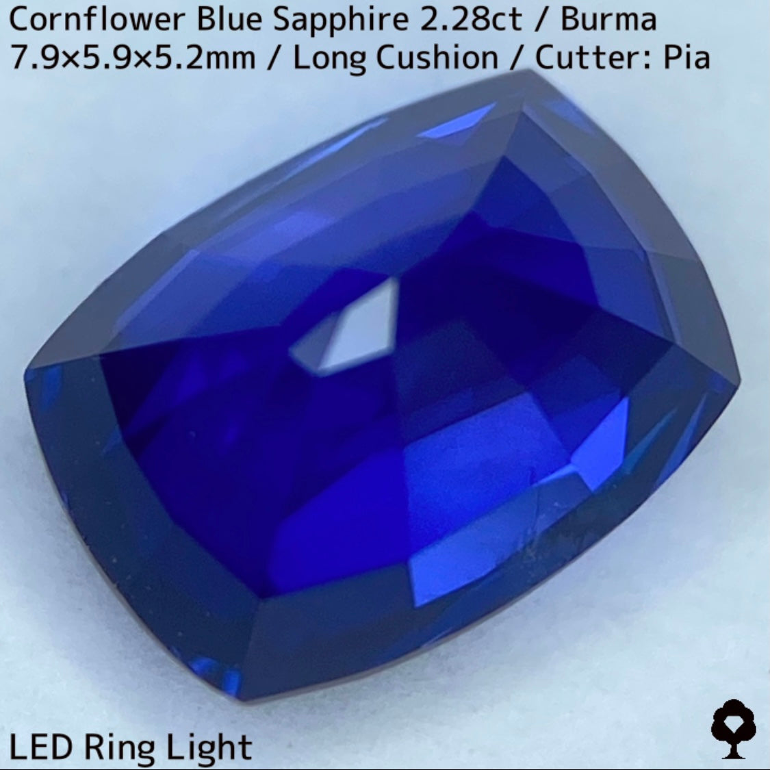 ビルマ産コーンフラワーブルーサファイア2.28ct★シルキー感も色合いもプロポーションも最高の希少ビルマ産
