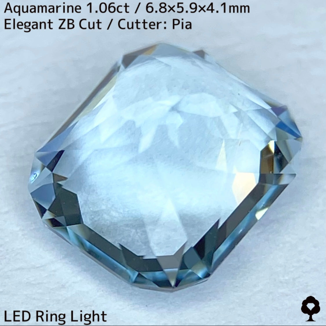 【お客さま専用】3月誕生石プライス★アクアマリン1.06ct★煌めき溢れるエレガントカットに宝石の形浮かぶZBカット