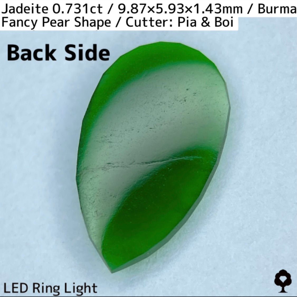 翡翠0.731ct★GTJ創業者大御所のセレクトのお手本翡翠に細やかな縁取り
