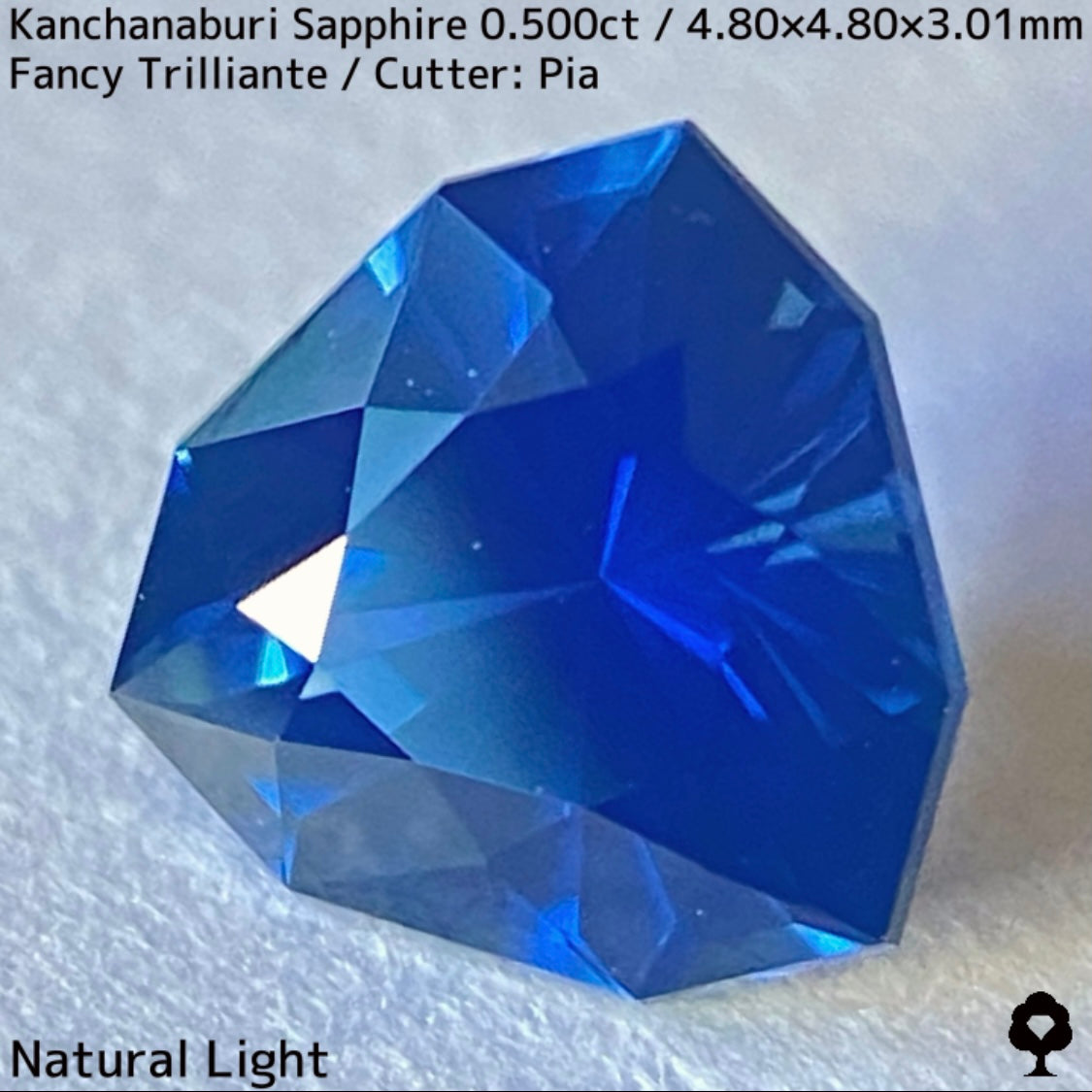 【GW特別企画★30%まほチケキャッシュバック】カンチャナブリー産サファイア0.500ct★シルキーでグリニッシュなカンチャブルーから鋭いナリカーの煌めき
