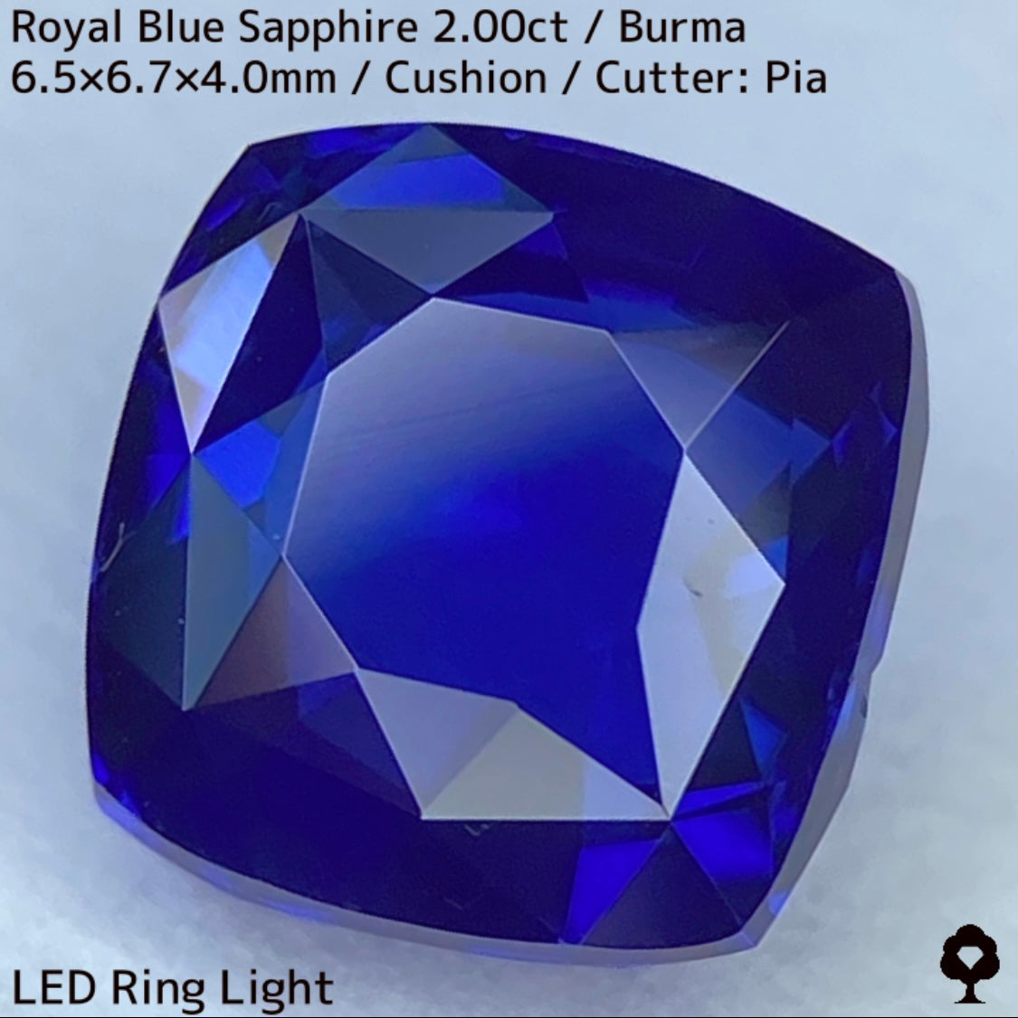 【カットを進めるか選択出来る】ビルマ産ロイヤルブルーサファイア2.00ct★超美色美結晶の希少2.00ctであの大御所が一旦ストップした悩み中だからこその特別プライス