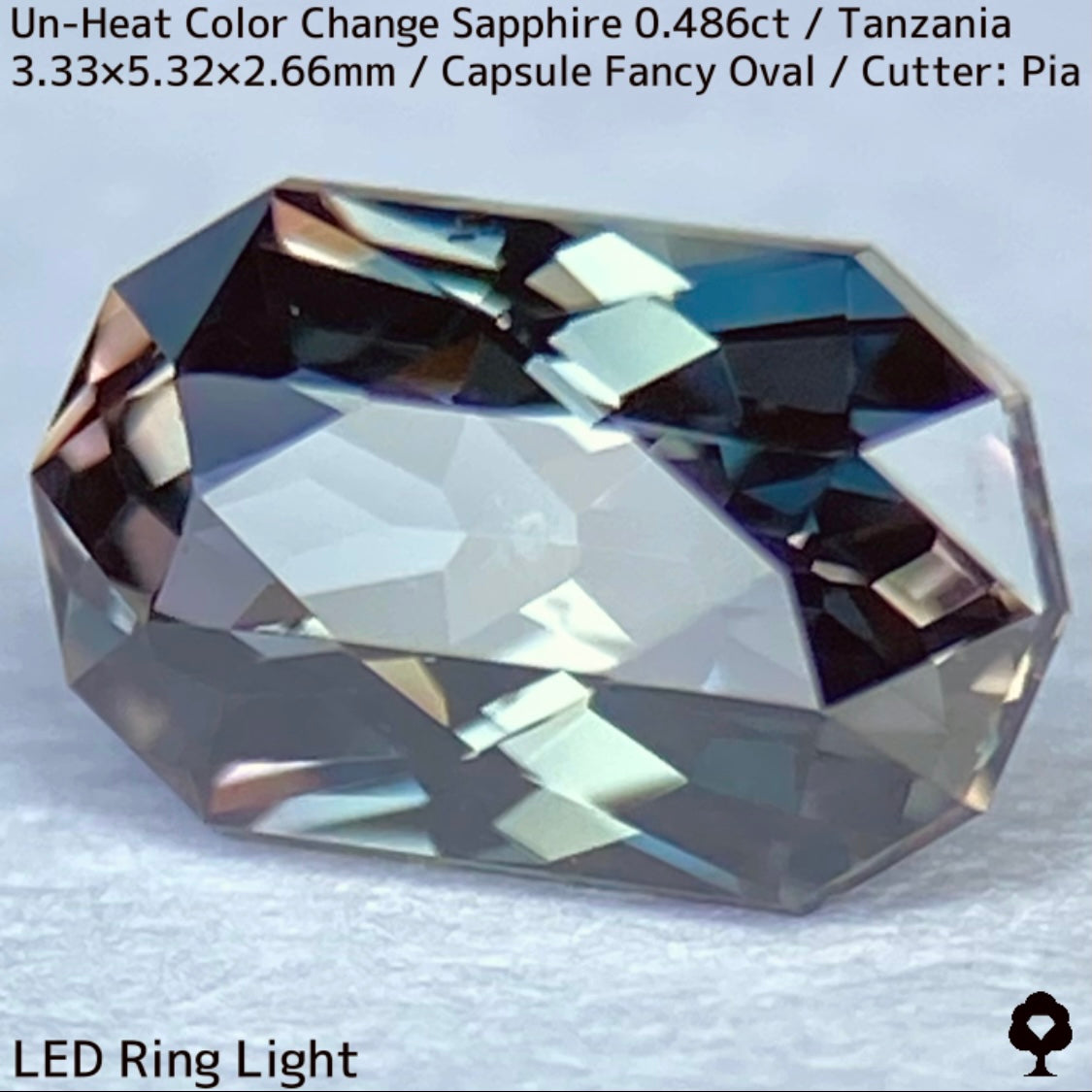 タンザニア産非加熱カラーチェンジサファイア0.486ct★深みの中に潜む多色感とゴールドシルクの銀河広がる