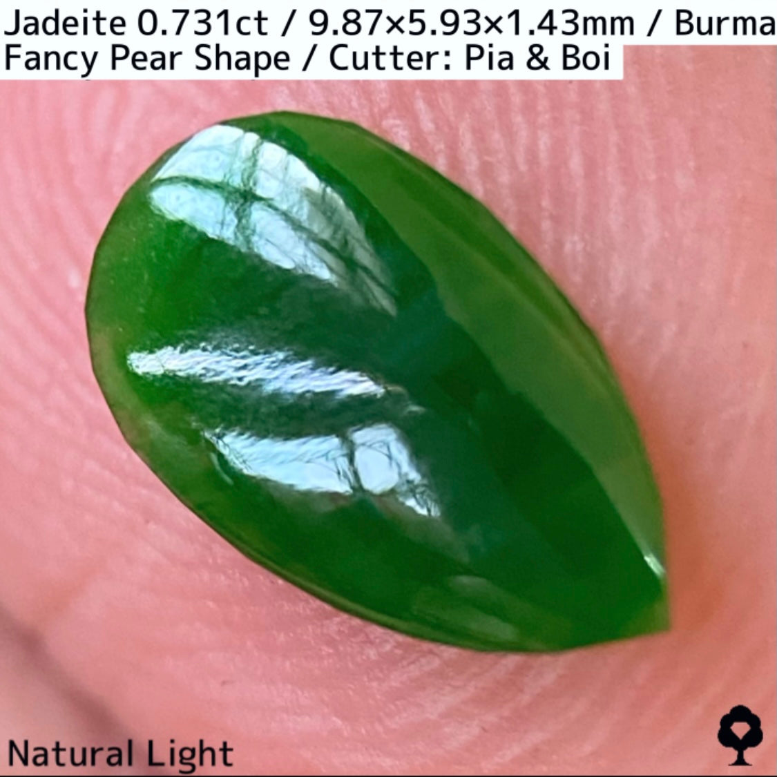 翡翠0.731ct★GTJ創業者大御所のセレクトのお手本翡翠に細やかな縁取り