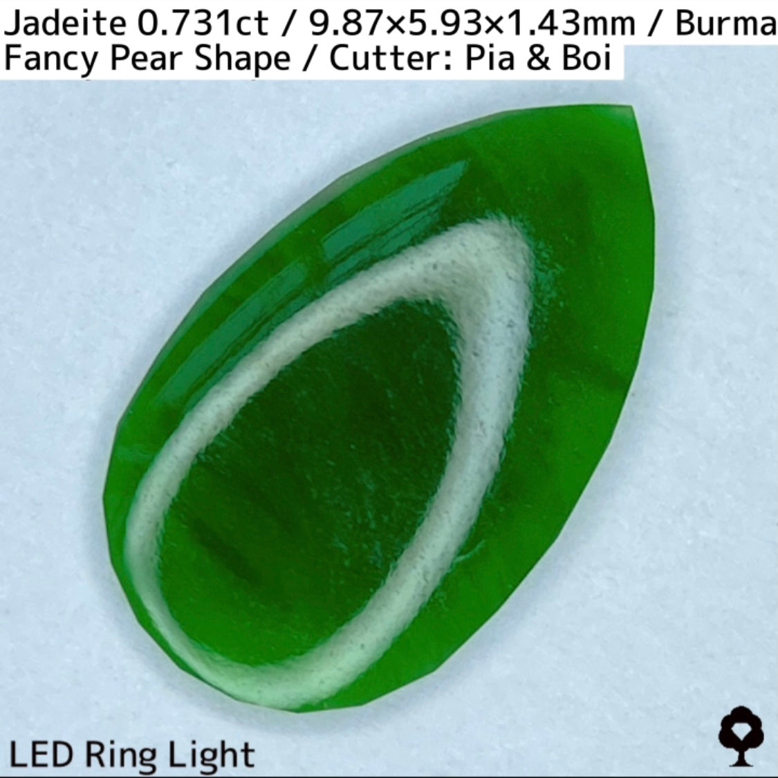 翡翠0.731ct★GTJ創業者大御所のセレクトのお手本翡翠に細やかな縁取り