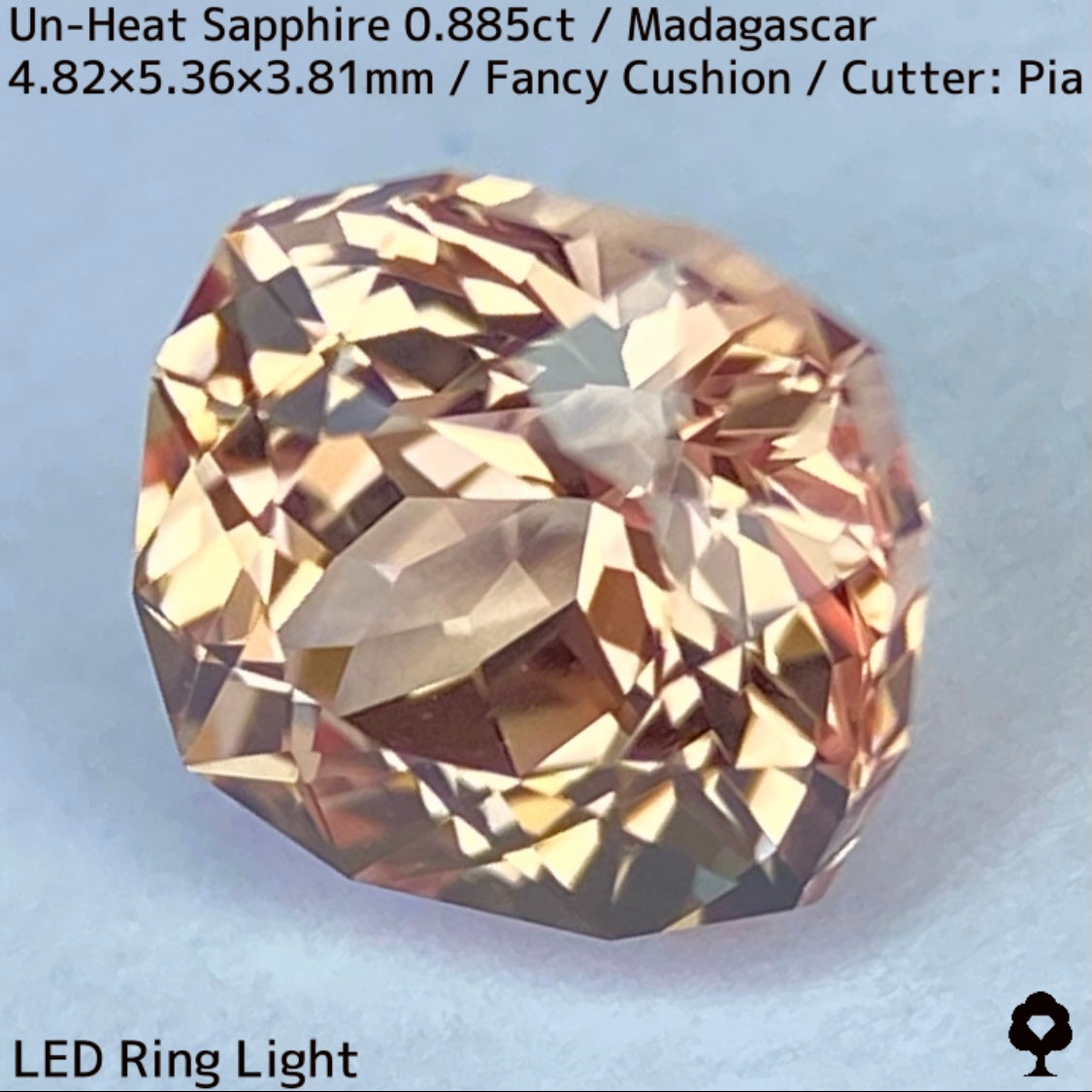 マダガスカル産非加熱サファイア0.885ct★インペリアルトパーズの様なシェリー感ある品と風格ある一石