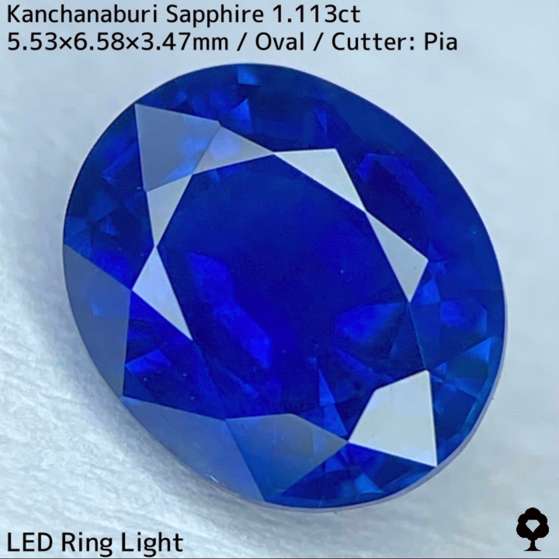 カンチャナブリー産サファイア1.113ct★カンチャらしいシルキーでほんのりグリニッシュなブルーの希少1ctアップ