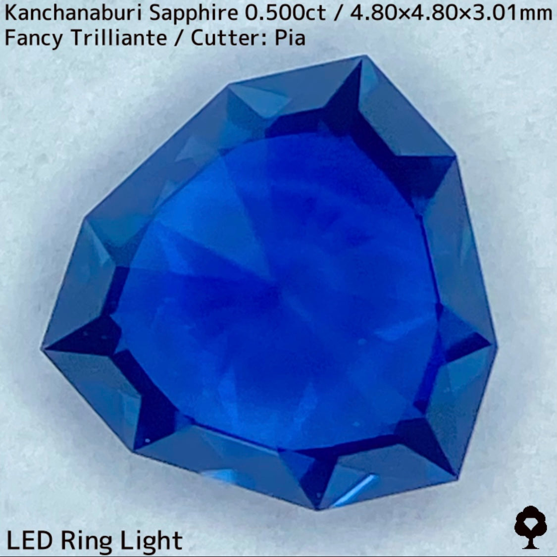 【GW特別企画★30%まほチケキャッシュバック】カンチャナブリー産サファイア0.500ct★シルキーでグリニッシュなカンチャブルーから鋭いナリカーの煌めき