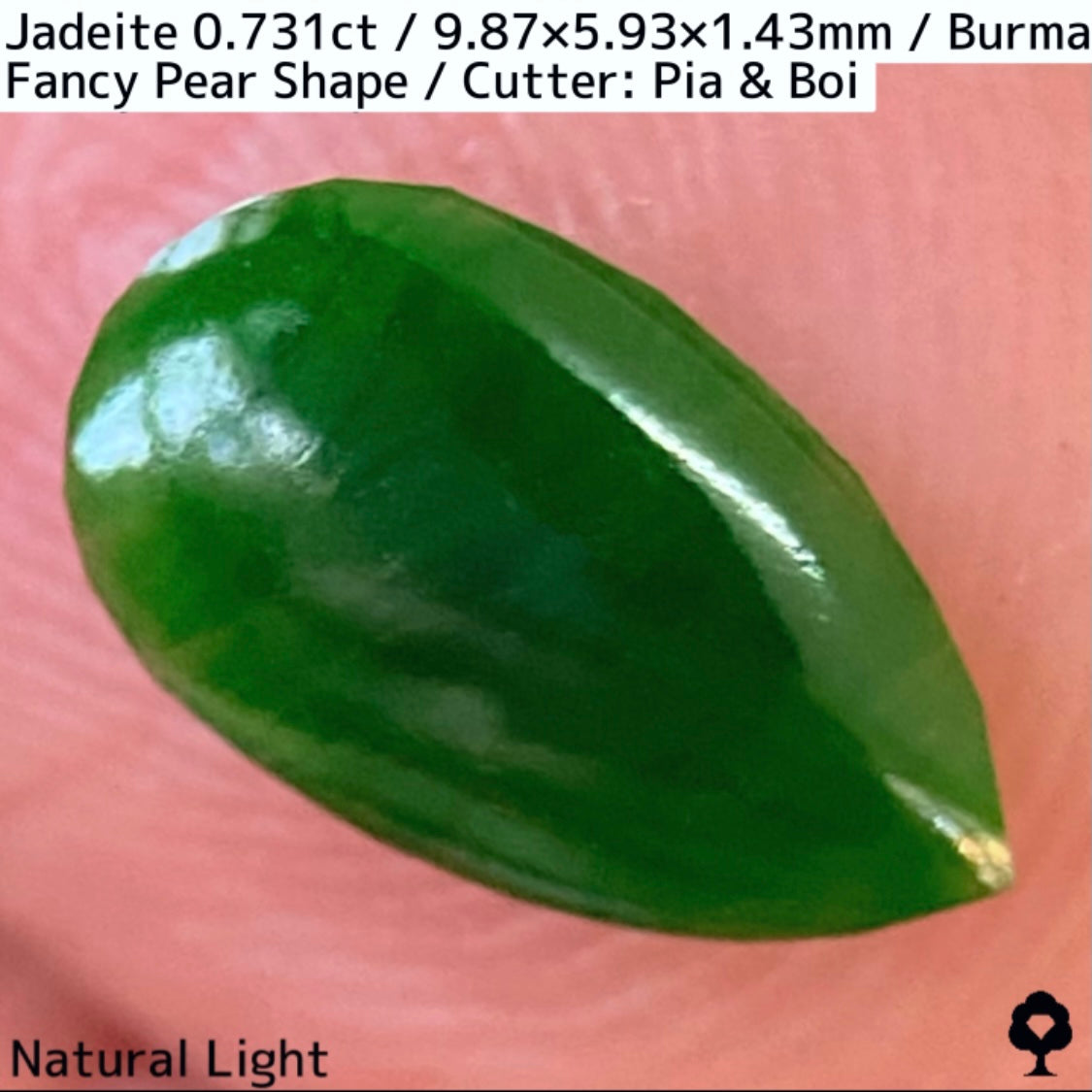 翡翠0.731ct★GTJ創業者大御所のセレクトのお手本翡翠に細やかな縁取り