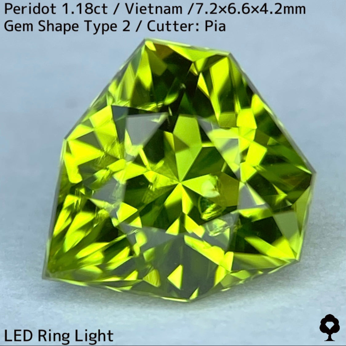 【ご当選者さま専用】ベトナム産ペリドット1.18ct★リリーパッド入り美色結晶の盾のような宝石形タイプ2