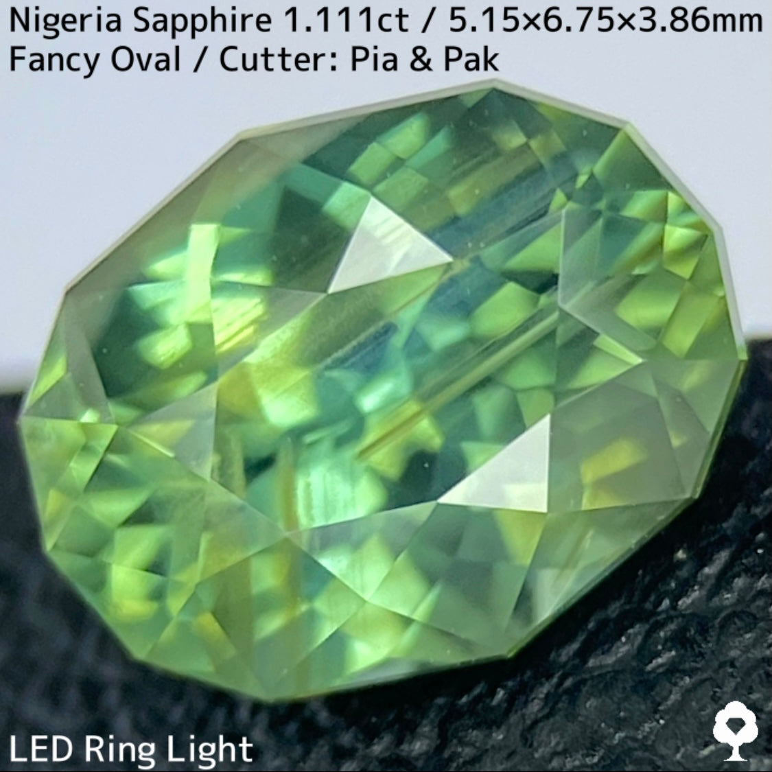 ナイジェリア産サファイア1.111ct★ゴールドのラインが美しいたまらなく面白いシルキーブルーイッシュグリーン