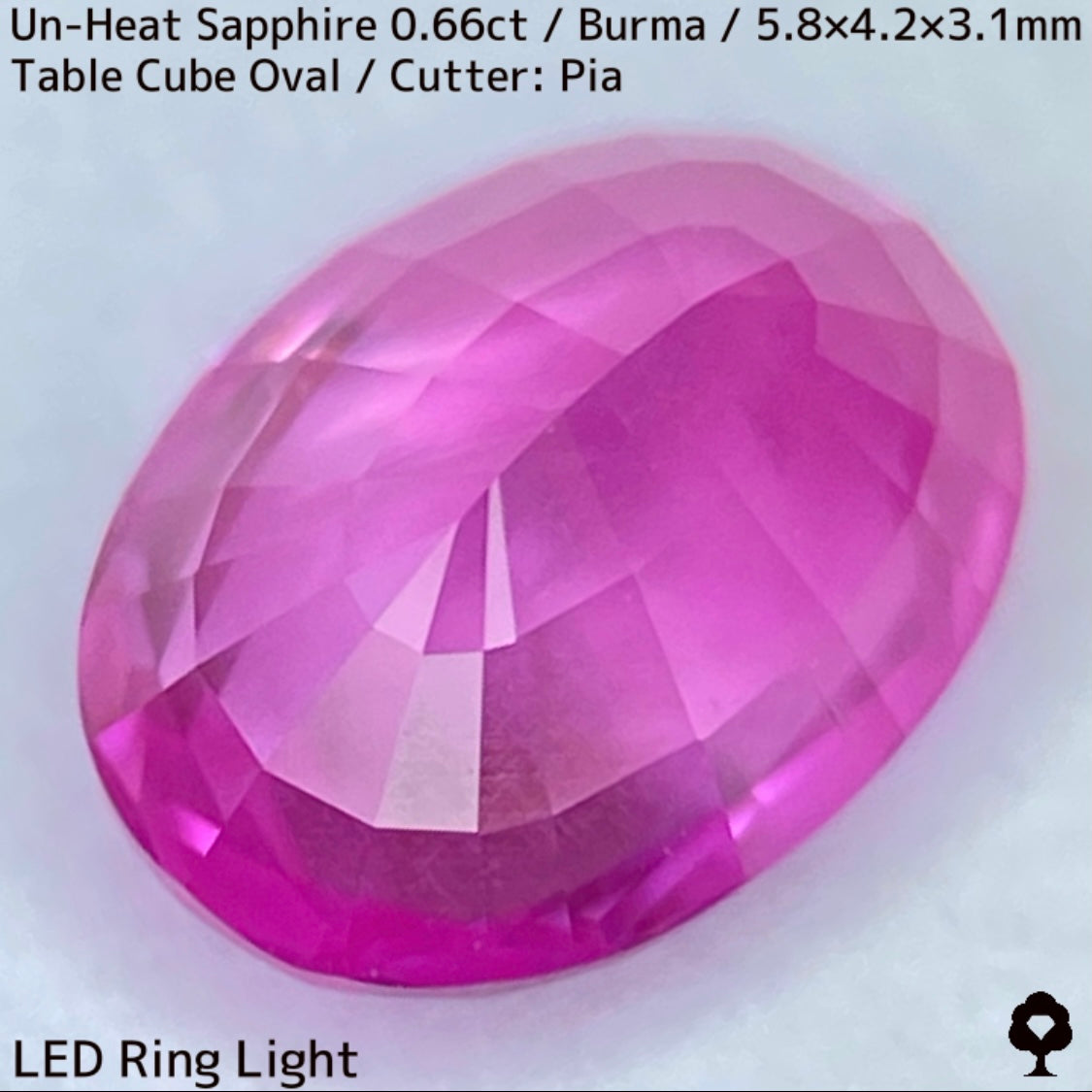 【お客さま専用】ビルマ産非加熱サファイア0.66ct★クリアさもあるシルキーピンクの可愛い強蛍光オーバル
