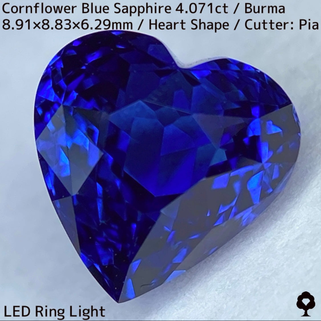 ビルマ産コーンフラワーブルーサファイア4.071ct★ロイヤルブルー寄りの濃いめ最高コーンフラワーブルーが美しすぎる超一級品