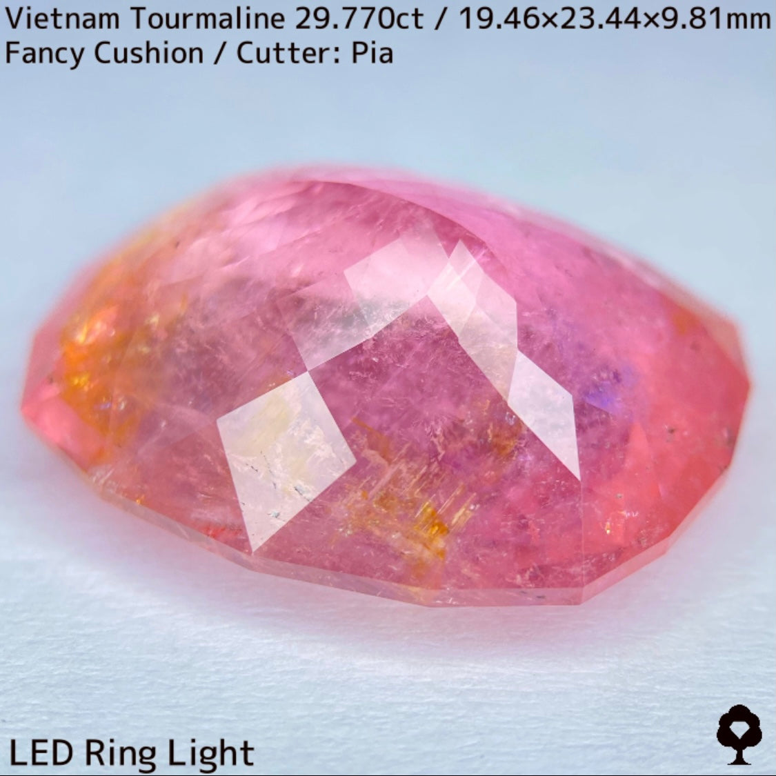 ベトナム産トルマリン29.770ct★華やかなベトナム産らしい桜満開巨石