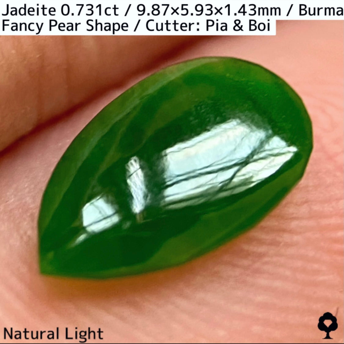 翡翠0.731ct★GTJ創業者大御所のセレクトのお手本翡翠に細やかな縁取り