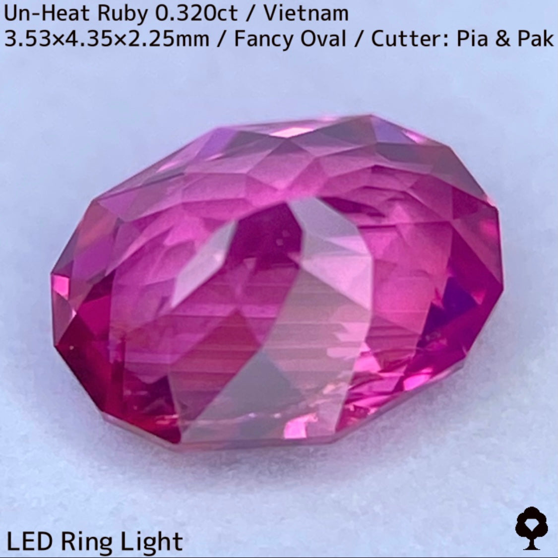ベトナム産非加熱ルビー0.320ct★ネオンピンクの煌めき溢れる花咲くファンシーオーバル
