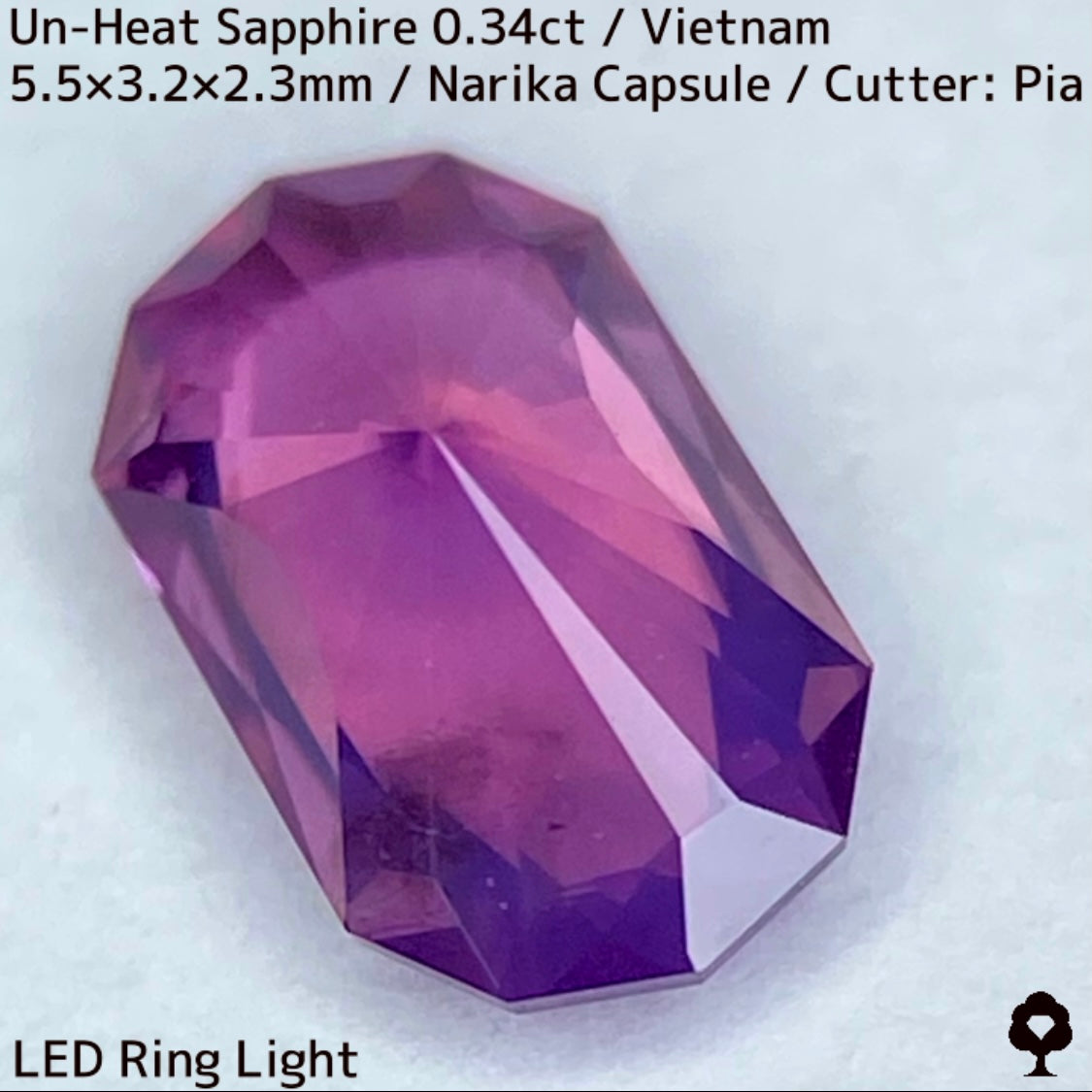 ベトナム産非加熱サファイア0.341ct★初のカプセルナリカーによってシックな色合いからネオンピンクの煌めき放つ