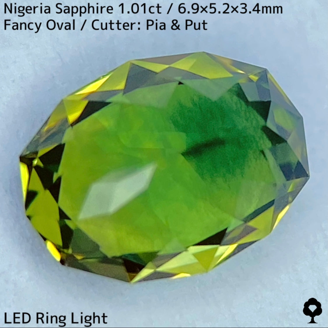 ナイジェリア産サファイア1.01ct★ブルーイッシュグリーンとイエローの混ざり合うリバーシブル感が面白い美結晶