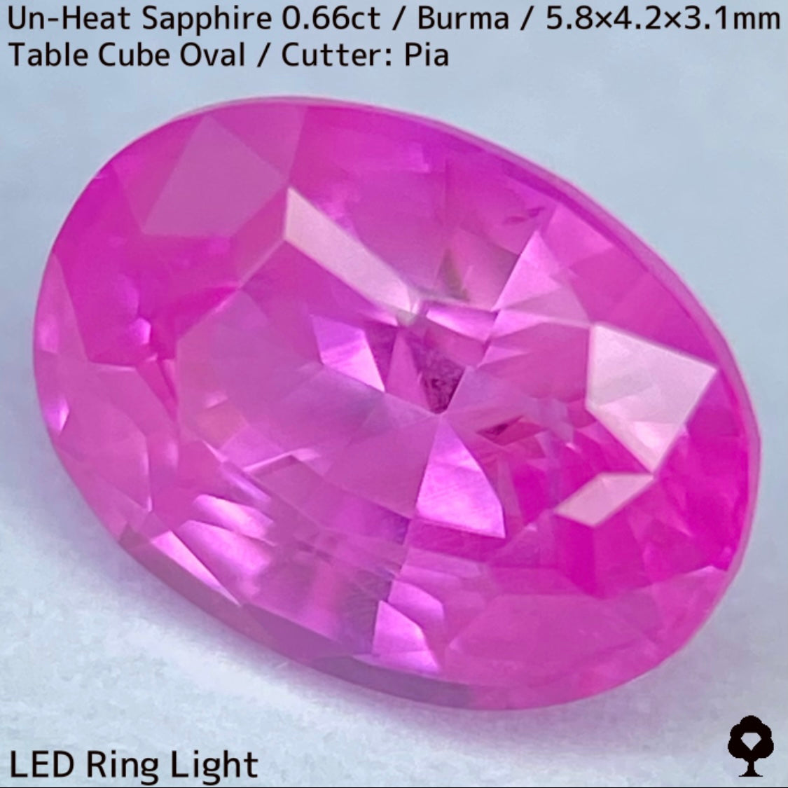 【お客さま専用】ビルマ産非加熱サファイア0.66ct★クリアさもあるシルキーピンクの可愛い強蛍光オーバル