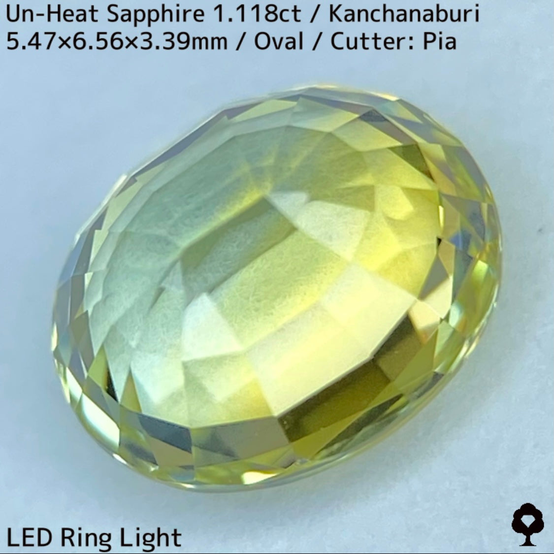 カンチャナブリー産非加熱サファイア1.118ct★弾けるライトグリニッシュイエローの強く美しい煌めき