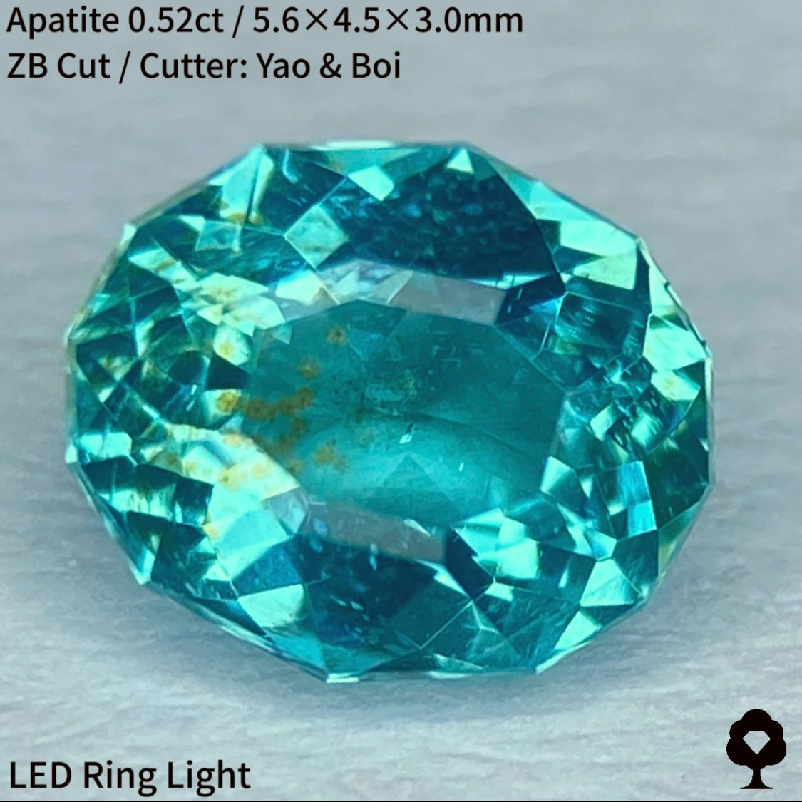 ネオン感あるマリンブルーに金木犀のようなインクルージョン★アパタイト0.52ct