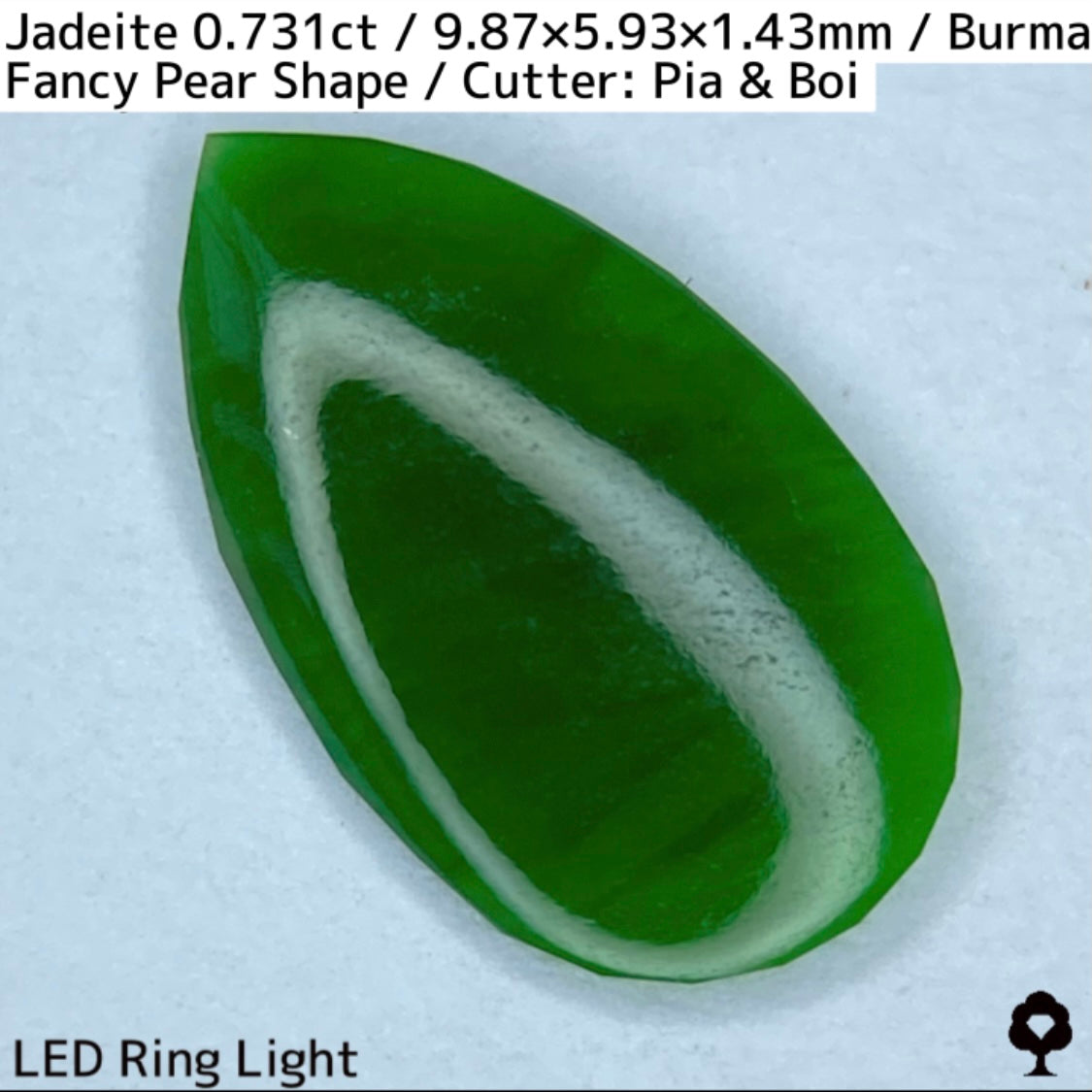 翡翠0.731ct★GTJ創業者大御所のセレクトのお手本翡翠に細やかな縁取り