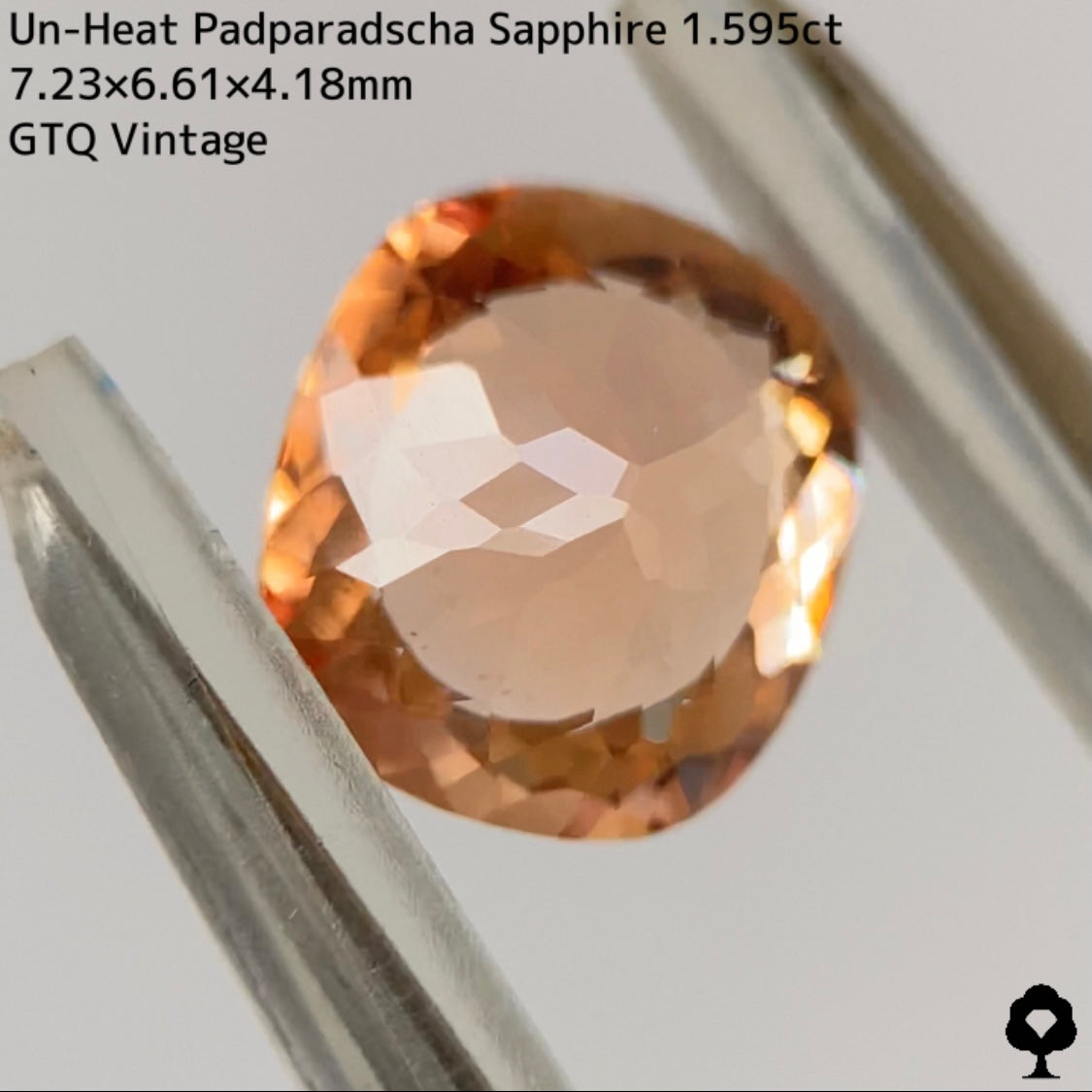 非加熱パパラチァサファイア1.595ct★探しても見つからない1.5ctアップのオレンジ系美色ヴィンテージ作品
