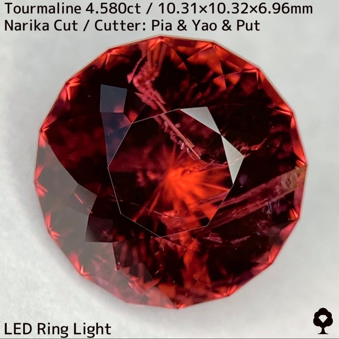 オレンジとルベライトカラー融合した美色に和の趣感じるインクル★トルマリン4.580ct