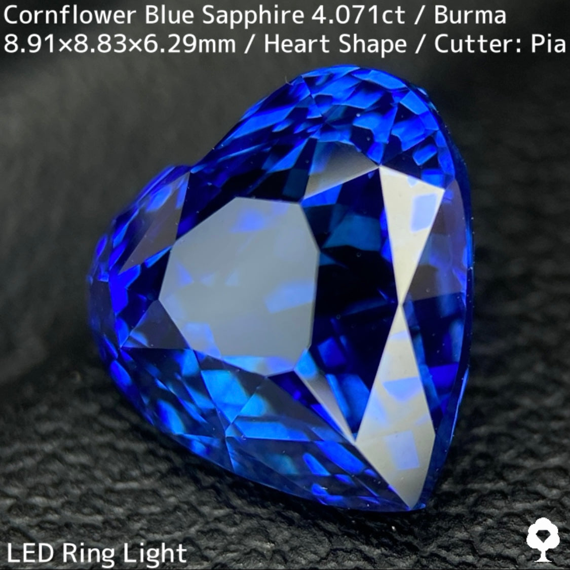 ビルマ産コーンフラワーブルーサファイア4.071ct★ロイヤルブルー寄りの濃いめ最高コーンフラワーブルーが美しすぎる超一級品