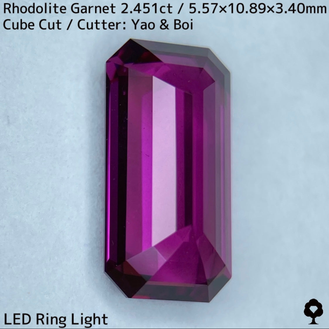 濃厚グレープピンクの堂々たる美結晶オクタゴン★ロードライトガーネット2.541ct