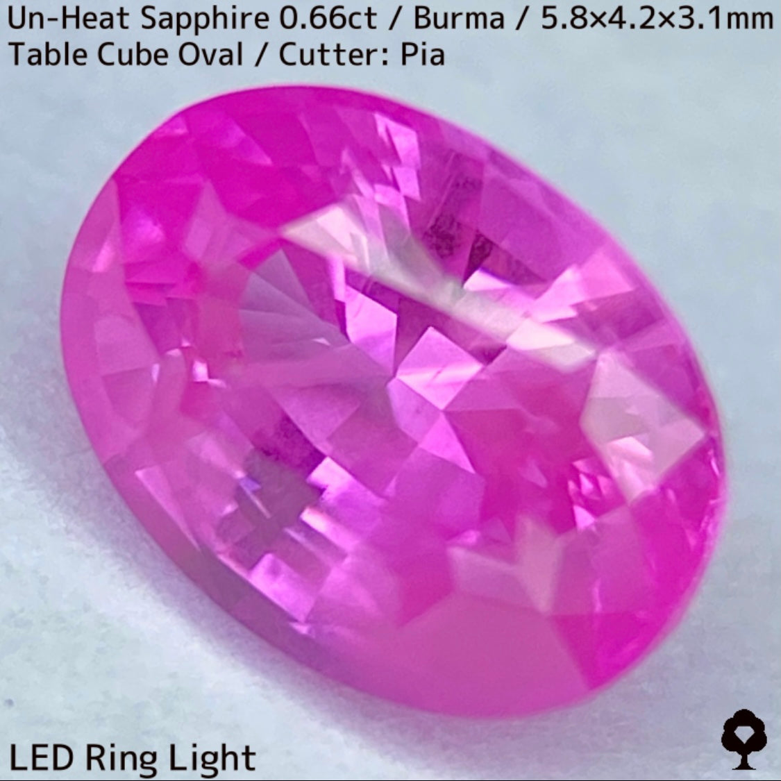 【お客さま専用】ビルマ産非加熱サファイア0.66ct★クリアさもあるシルキーピンクの可愛い強蛍光オーバル