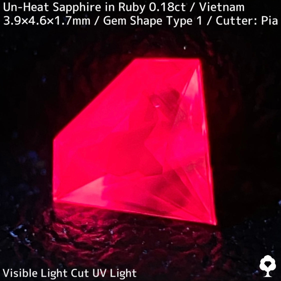 【ご当選者さま専用】ベトナム産サファイアフォーカス見比べセット💎先行予約販売【20万円】合計3〜5石★非加熱サファイア イン ルビー0.18ct入り確定