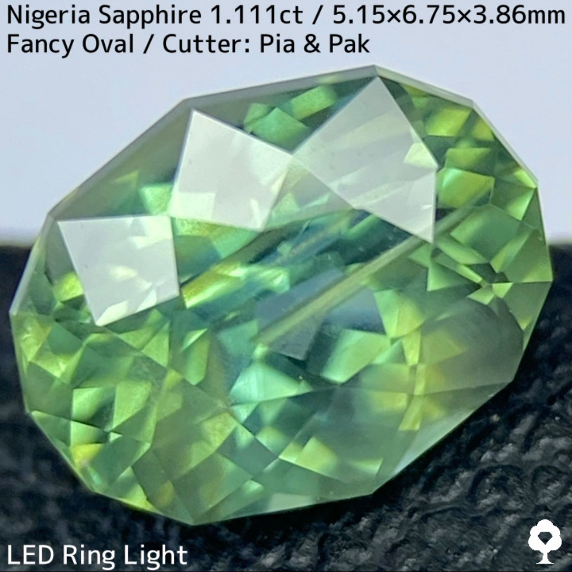 ナイジェリア産サファイア1.111ct★ゴールドのラインが美しいたまらなく面白いシルキーブルーイッシュグリーン