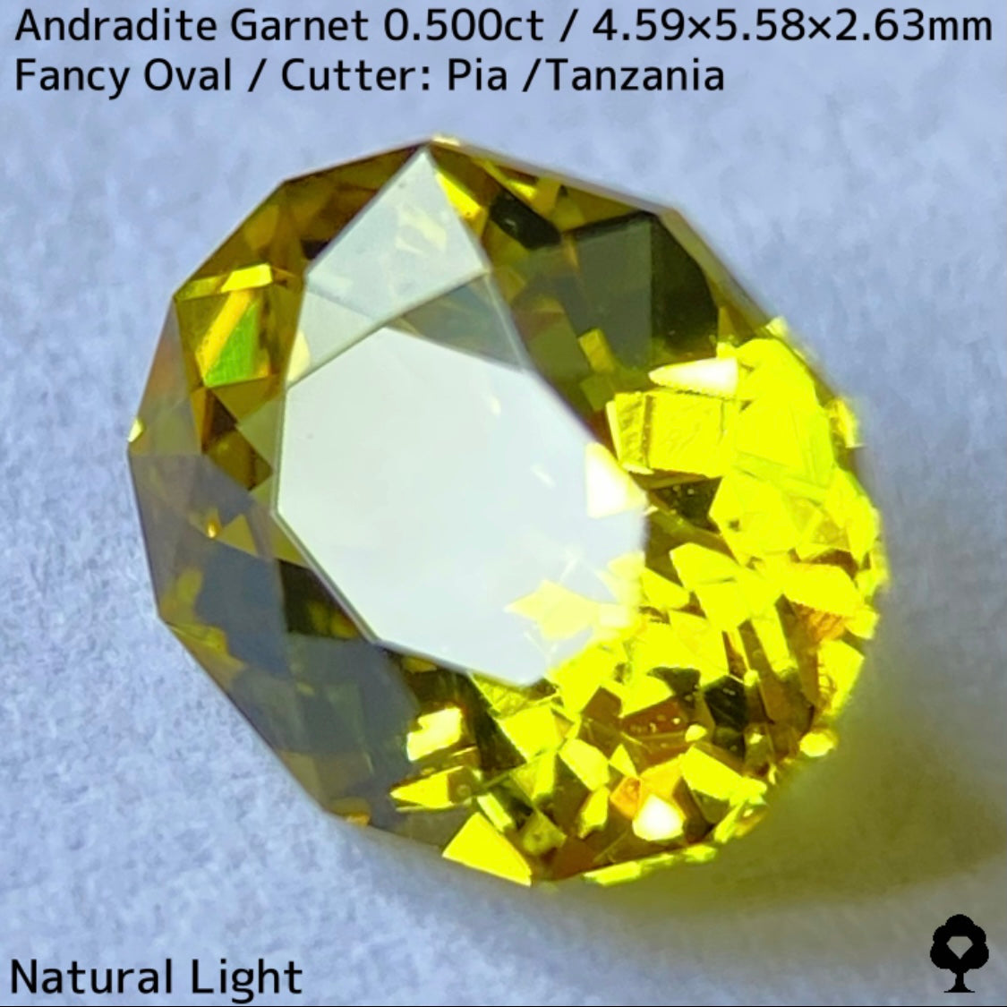 アンドラダイトガーネット0.500ct★強烈な煌めきとファイアー溢れるグリニッシュイエロー