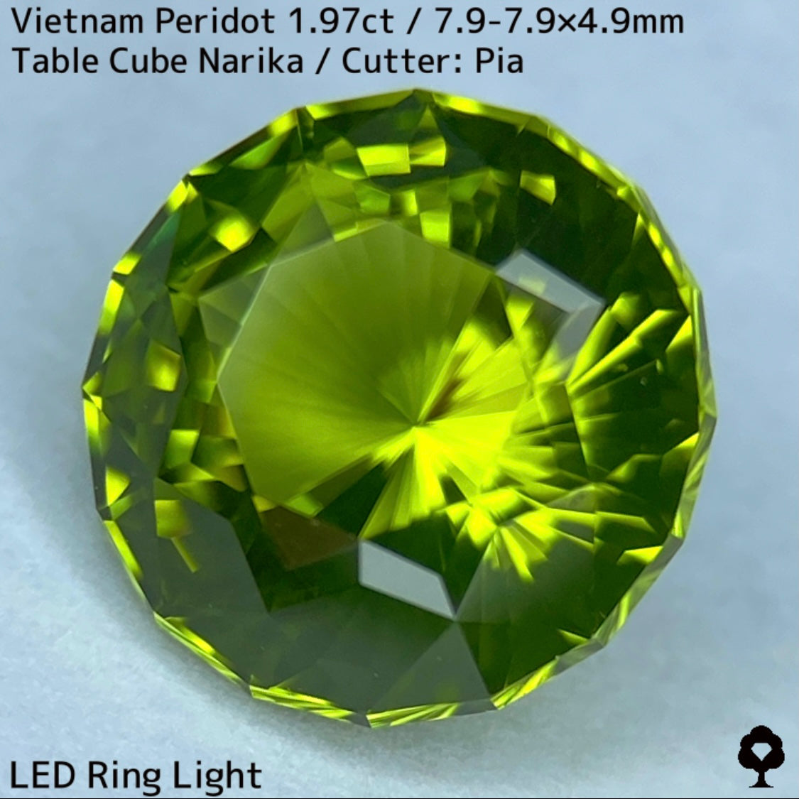 ベトナム産ペリドット1.97ct★さりげなくリリーパッドとシルキーさのある煌めき発色抜群のナリカーカット★