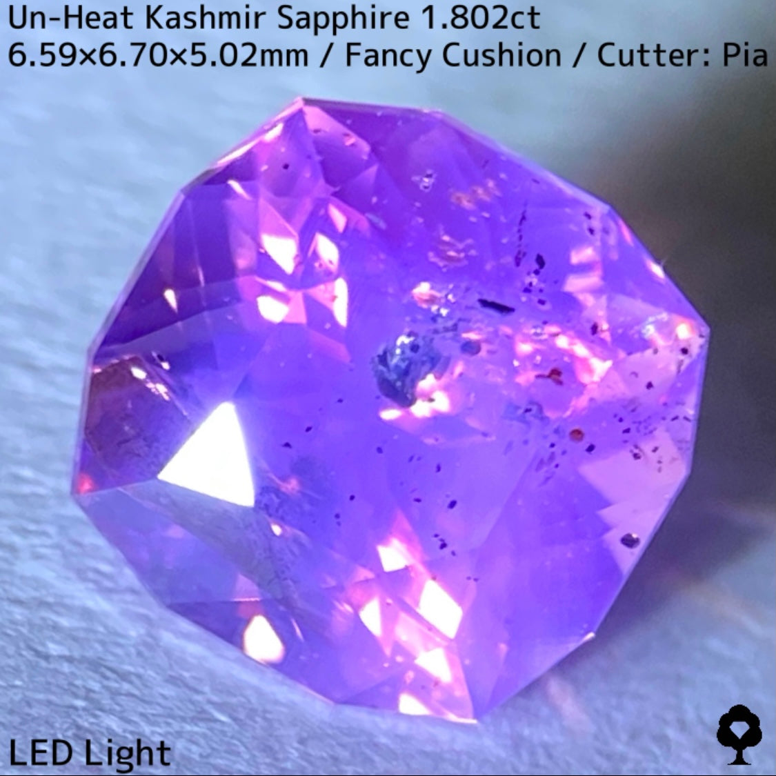 パキスタン産非加熱カシミールサファイア1.802ct★希産カシミールのらしさ全開の名品を色んな光源で楽しんで