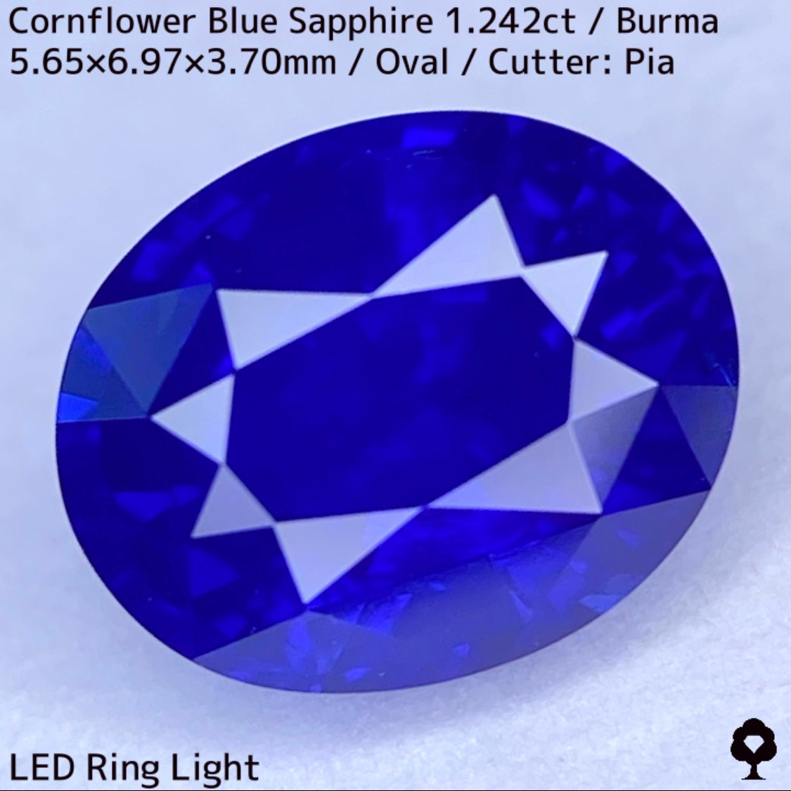 ビルマ産コーンフラワーブルーサファイア1.242ct★えげつない彩度のロイヤルとも言える超濃厚美色のシルキーコーンフラワー