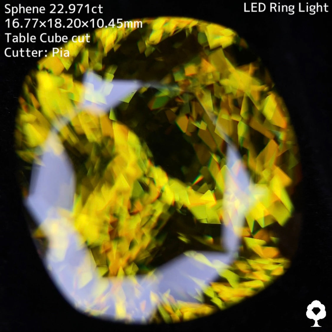 マダガスカルスフェーン22.971ct★美しさ・クラリティ・サイズどれをとっても博物館級のピアッちゃん初テーブルキューブ