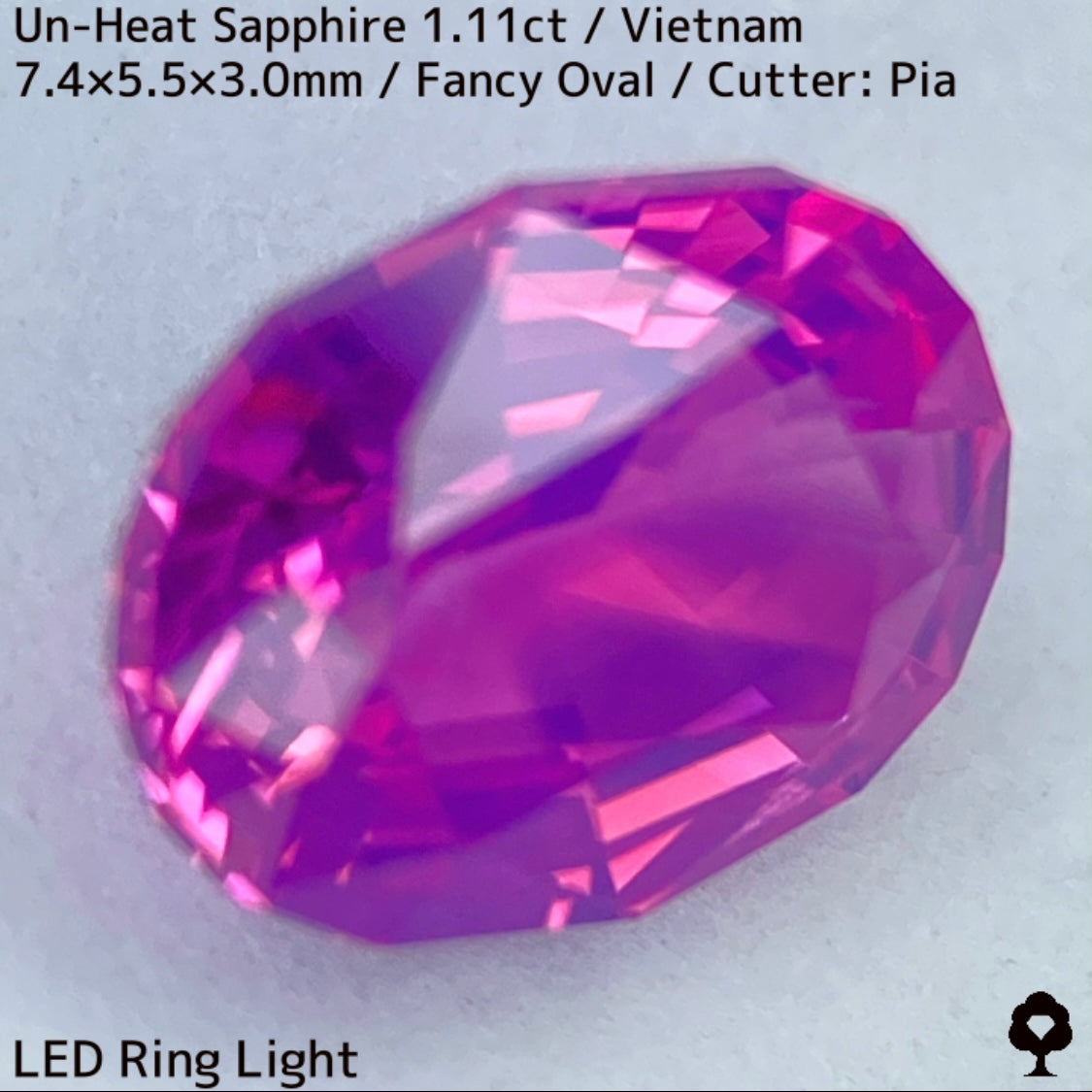 ベトナム産非加熱サファイア1.11ct