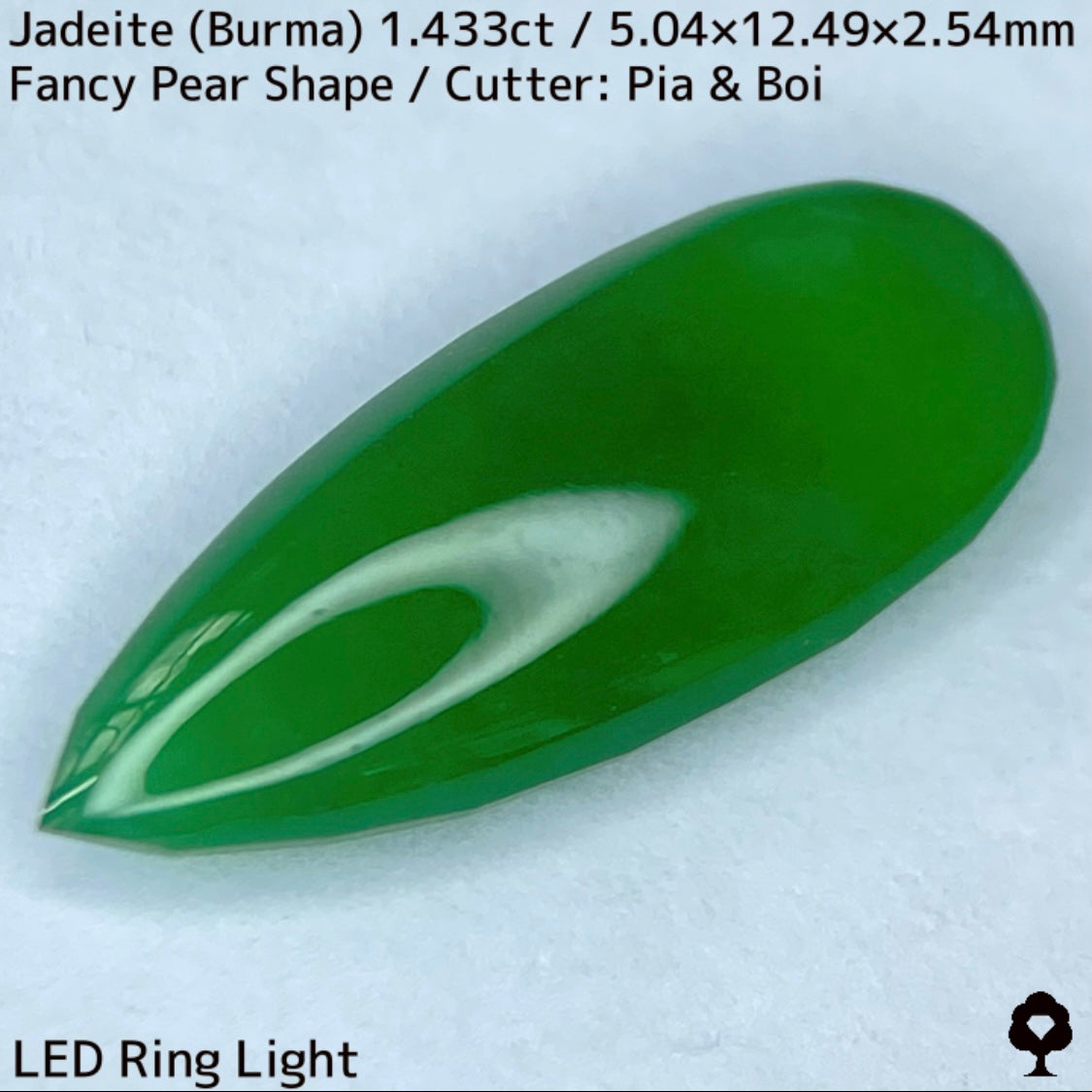 翡翠1.433ct★明るい美グリーンのマスターストーンはGTJならではのさりげなく輪郭が縁取られたツヤツヤファンシーペアシェイプ