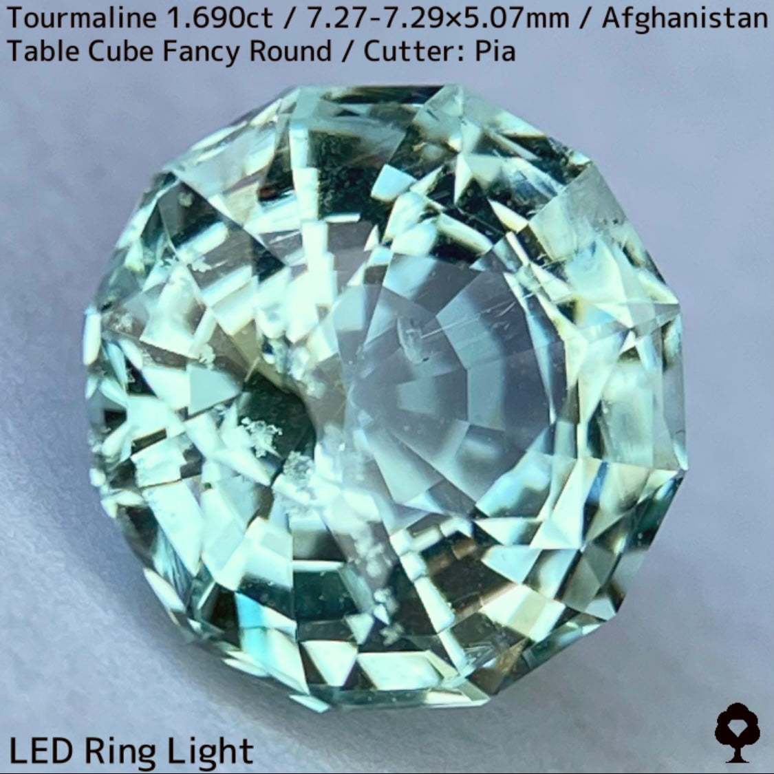 トルマリン1.690ct★美色ミントグリーンの煌めきがギラつくスパイダーカット