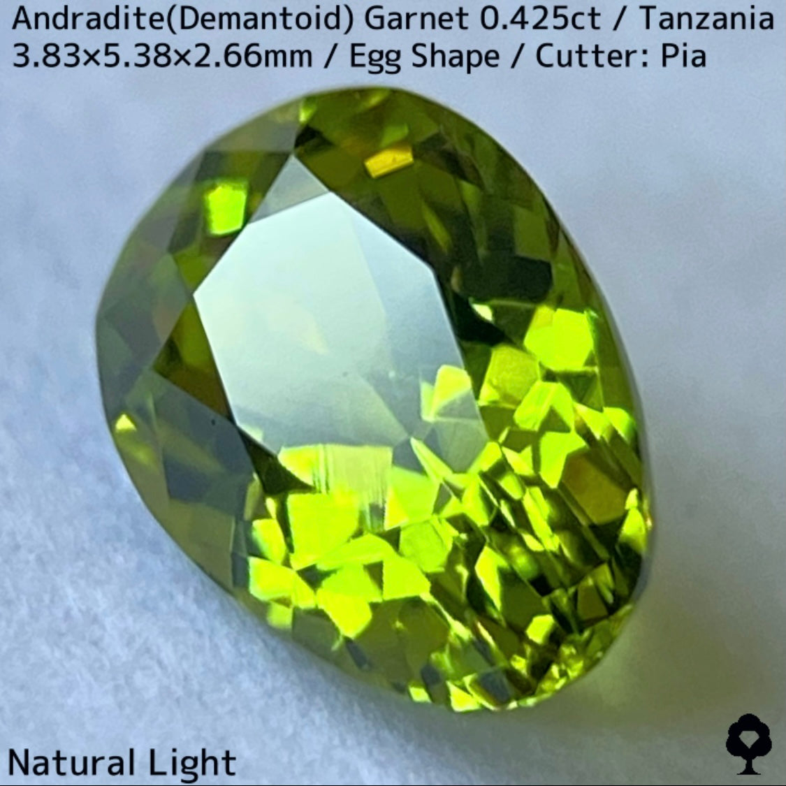 タンザニア産アンドラダイト(デマントイド)ガーネット0.425ct★程よい濃さの美グリーンから煌めき止まらないキュートなエッグシェイプ