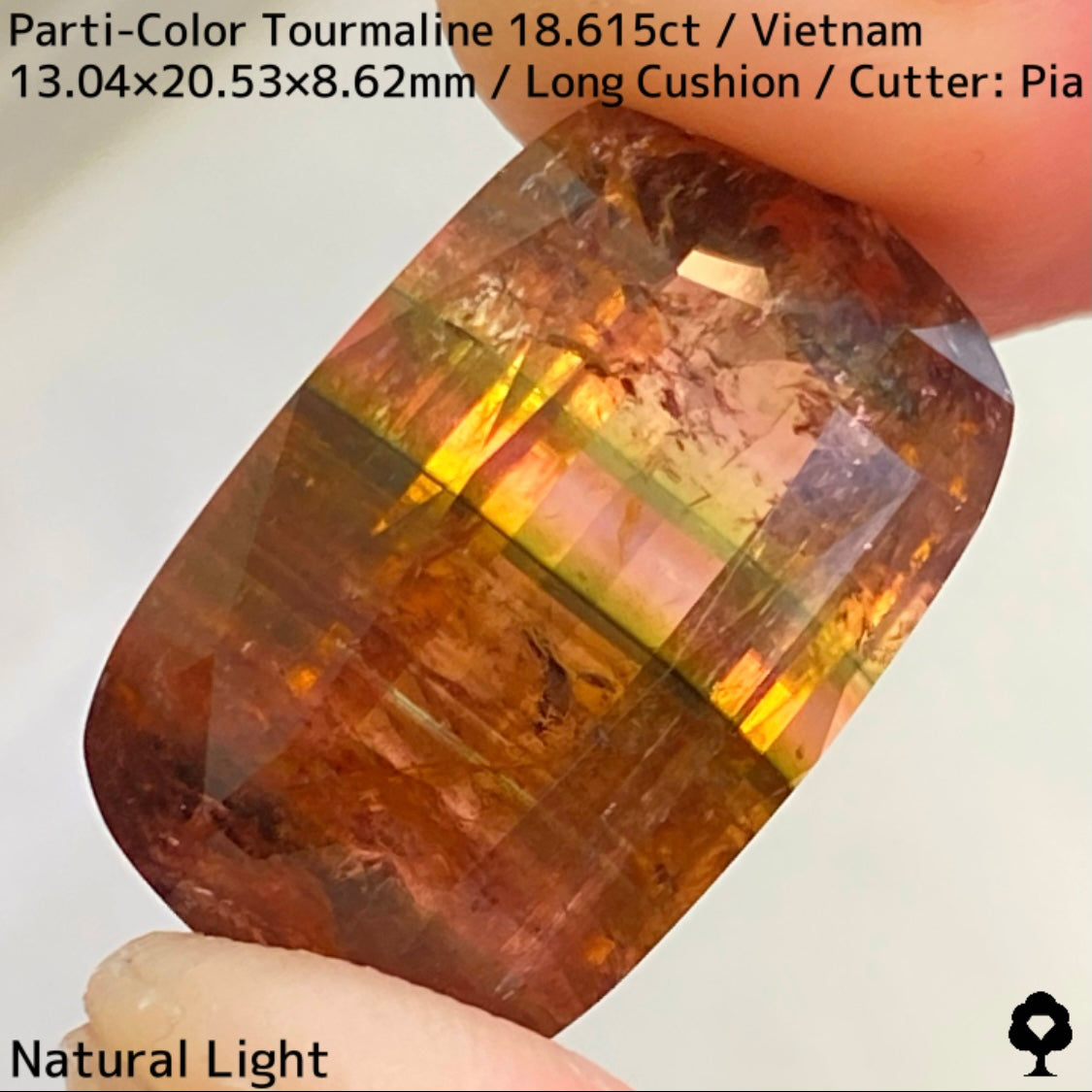 ベトナム産パーティカラートルマリン18.615ct★金屏風桜と夜桜を一石で楽しめる趣深いベトナム巨石