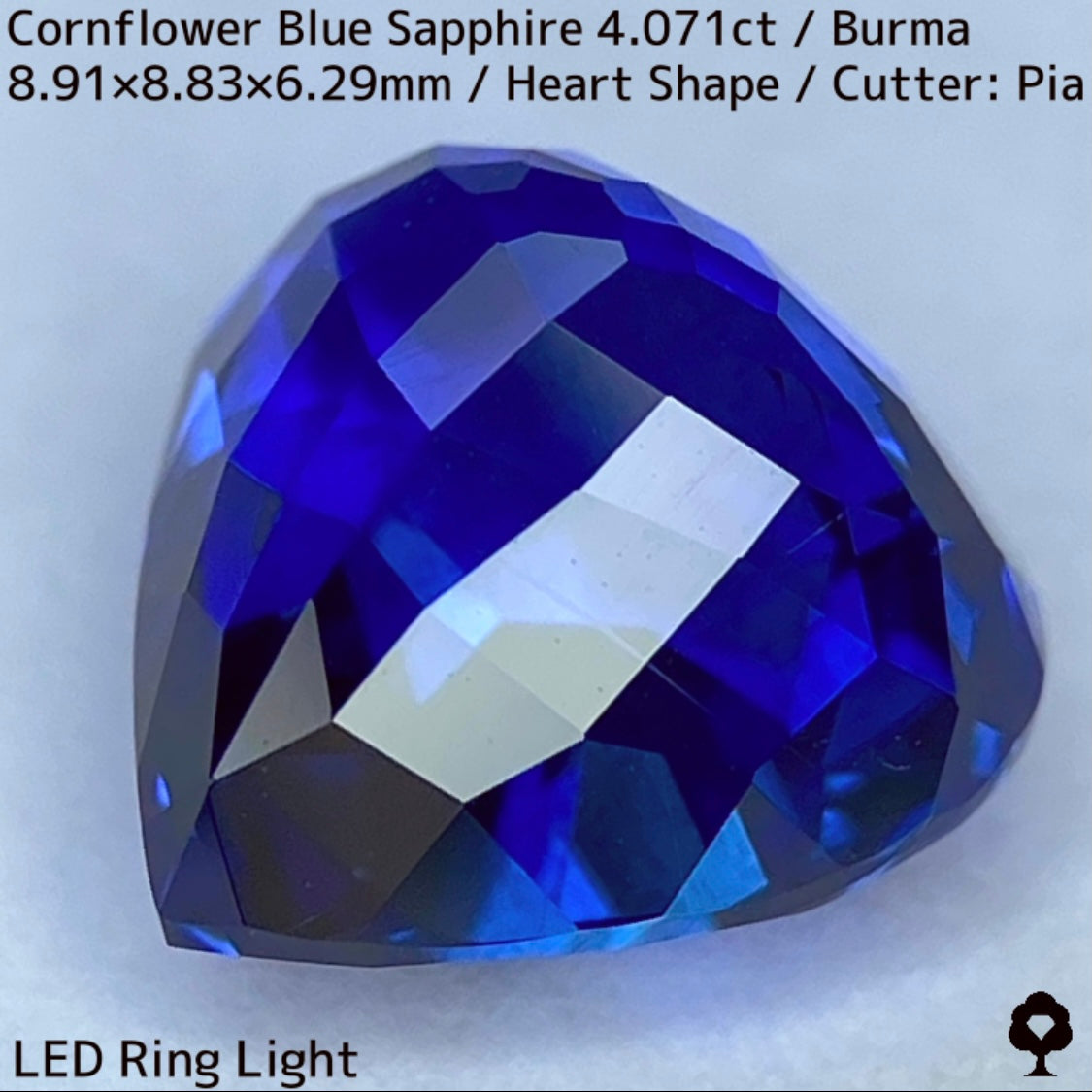 ビルマ産コーンフラワーブルーサファイア4.071ct★ロイヤルブルー寄りの濃いめ最高コーンフラワーブルーが美しすぎる超一級品