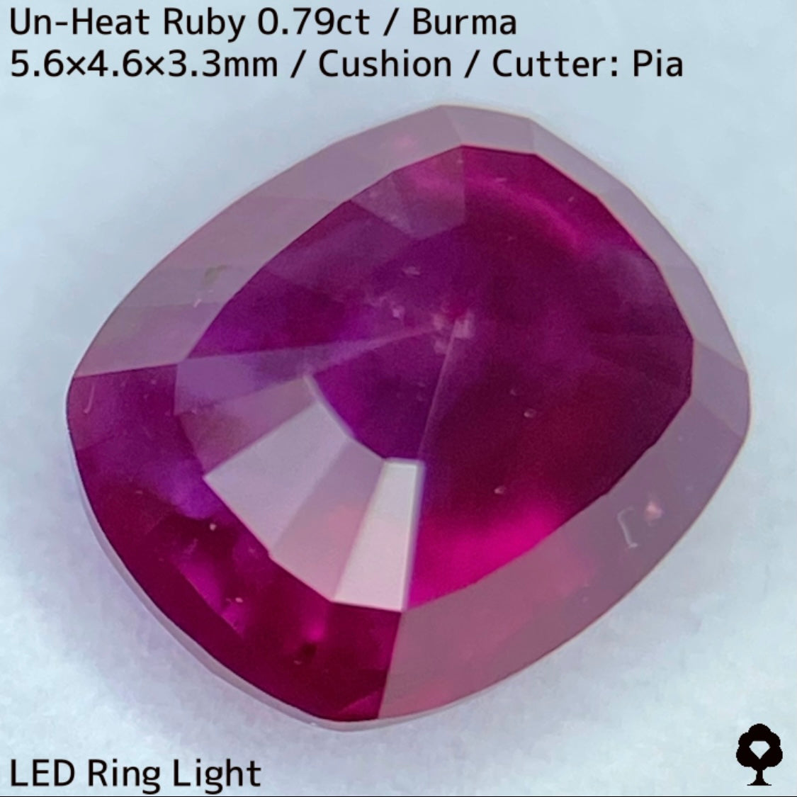 ビルマ産非加熱ルビー0.79ct★美色結晶をコウモリが覆うバットマンルビー