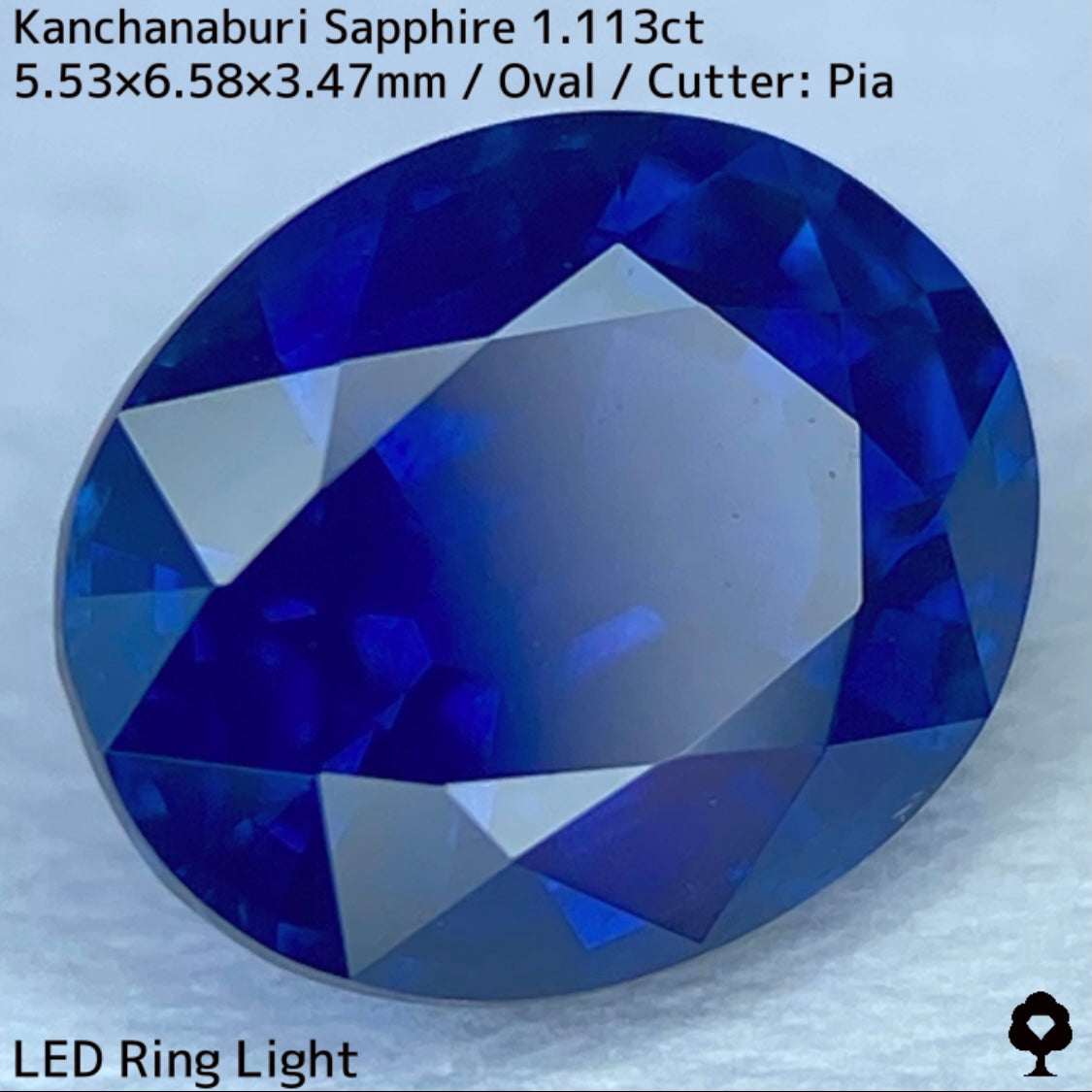カンチャナブリー産サファイア1.113ct★カンチャらしいシルキーでほんのりグリニッシュなブルーの希少1ctアップ