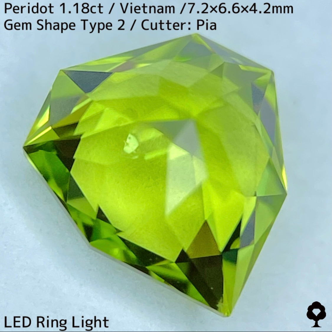 【ご当選者さま専用】ベトナム産ペリドット1.18ct★リリーパッド入り美色結晶の盾のような宝石形タイプ2