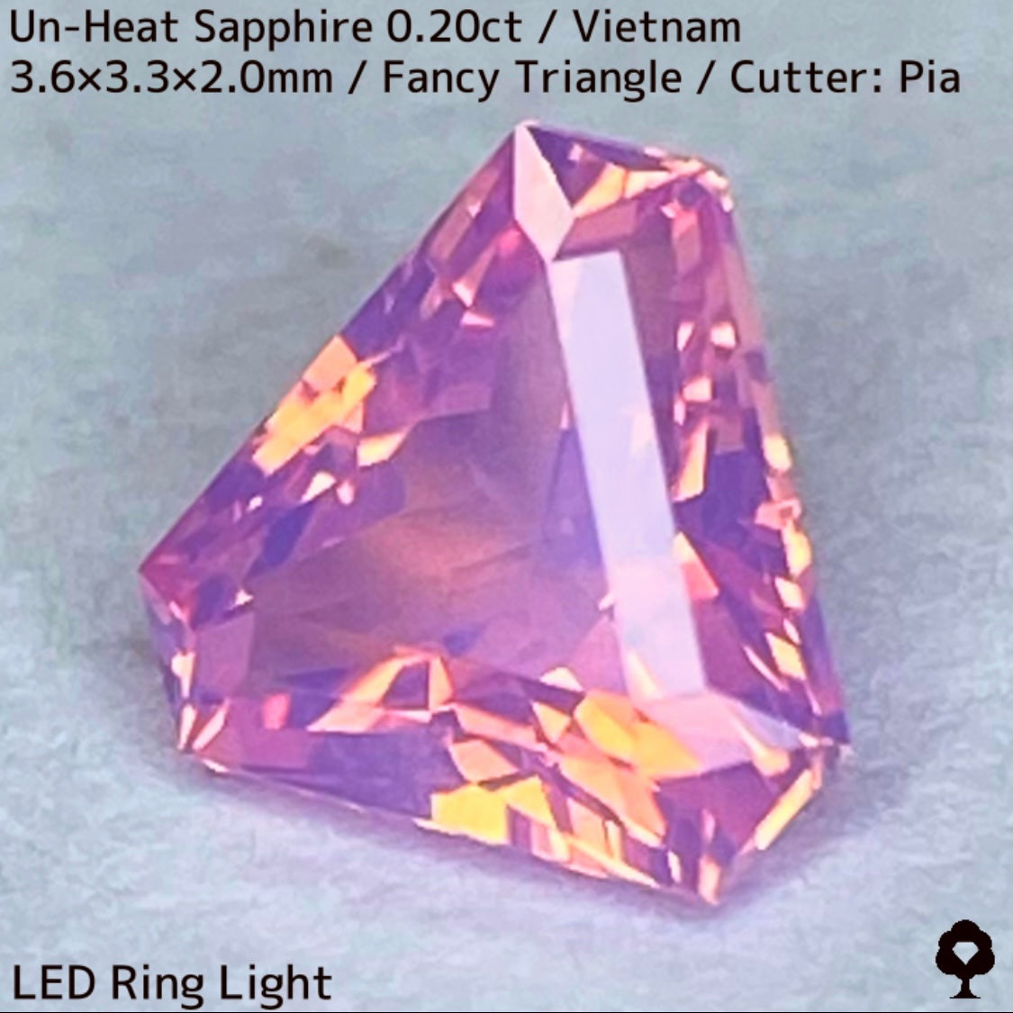 【ご当選者さま専用】ベトナム産非加熱サファイア0.204ct★デルタ形シェイプのシルキーピンクに詰まった煌めきのお花畑