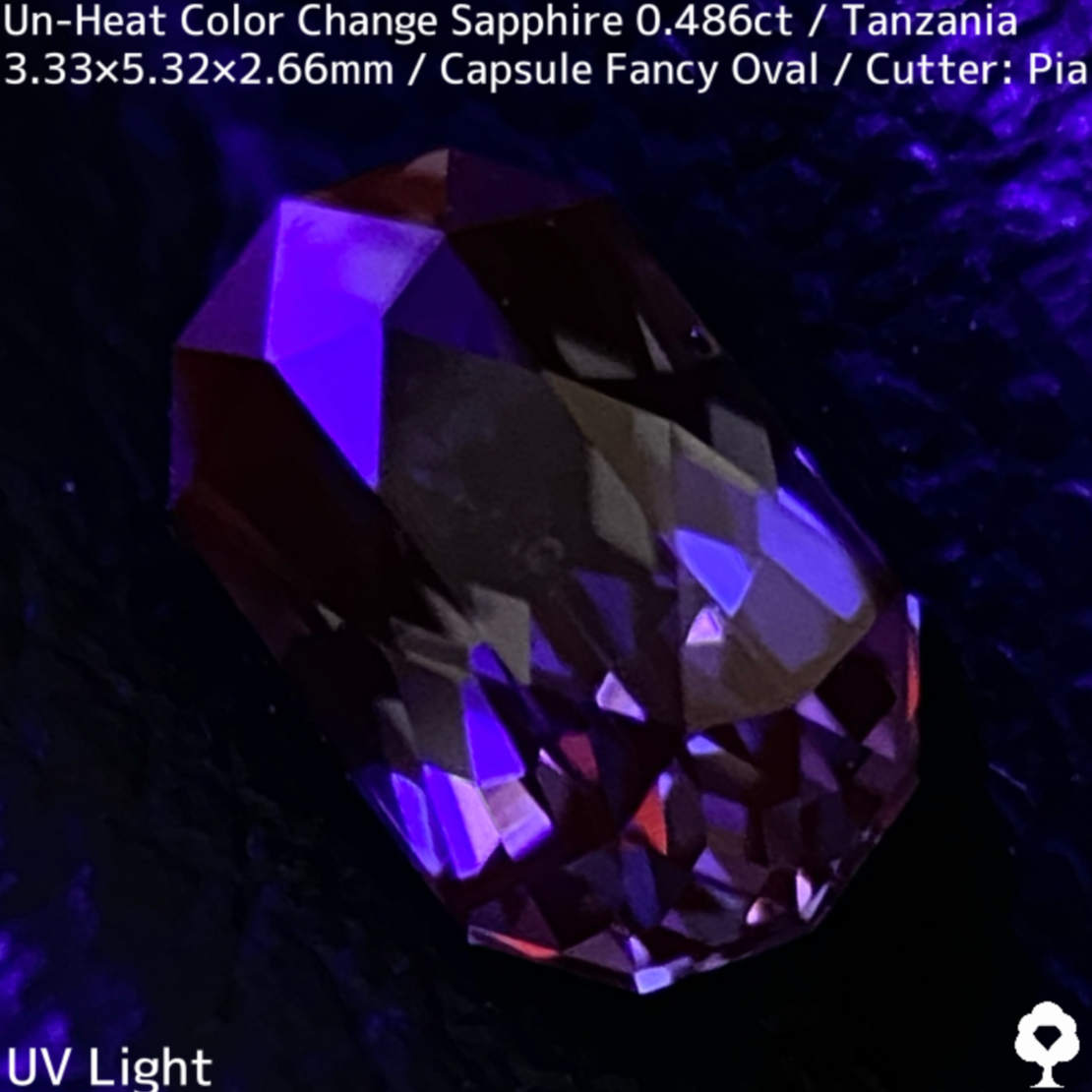 タンザニア産非加熱カラーチェンジサファイア0.486ct★深みの中に潜む多色感とゴールドシルクの銀河広がる