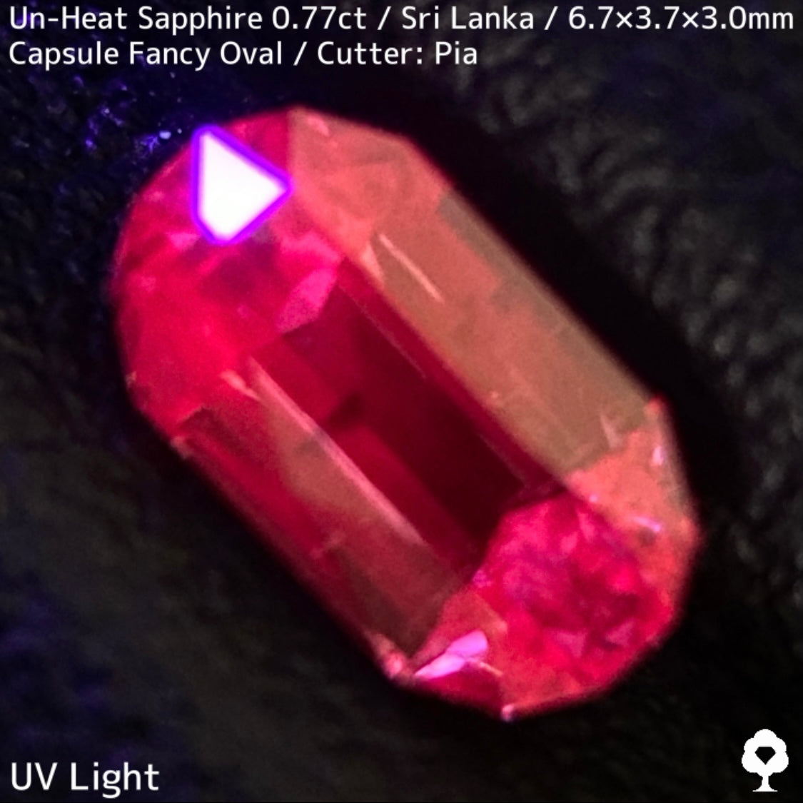 スリランカ産非加熱サファイア0.779ct★わずかなブルーの色だまりが良い仕事する両脇の色だまりたまらない一石